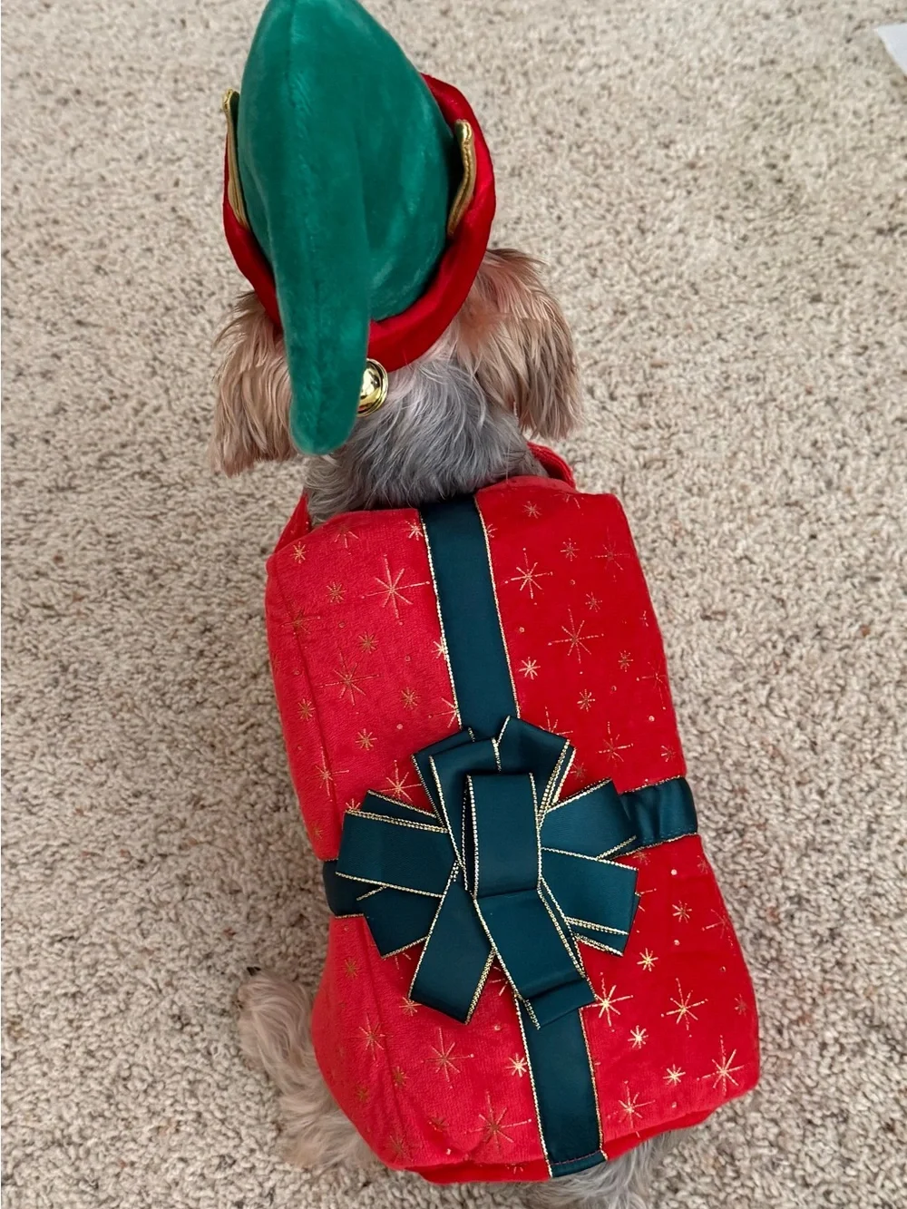 Holiday Red and Green Dog Costume - Festive Pet Outfit